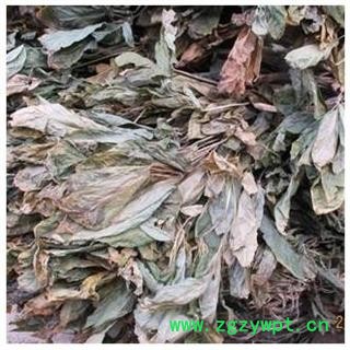 三七叶 1000克图2