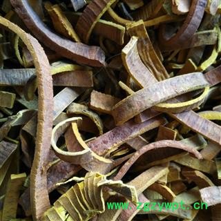 黄柏 川黄柏  川黄柏去皮统货 产地 四川省图2