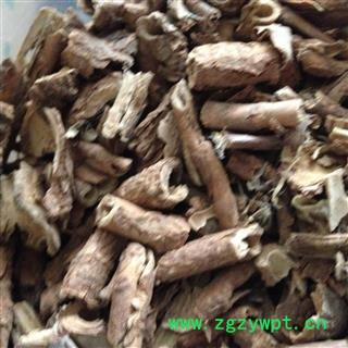 香加皮 北五加皮 选货 产地 甘肃省图3