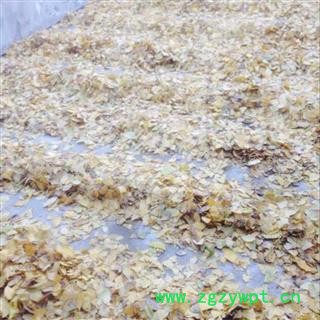 银杏叶 黄色  产地 河南省图3