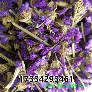 百花茶 勿忘我 产地 江苏省图2