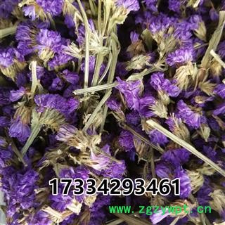 百花茶 勿忘我 产地 江苏省图4