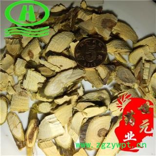 世元药业 槐树枝 正品 槐枝 槐嫩蘖图2