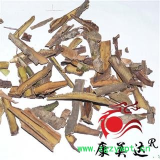 救必应 统货 产地 广西壮族自治区 凯捷中药图3