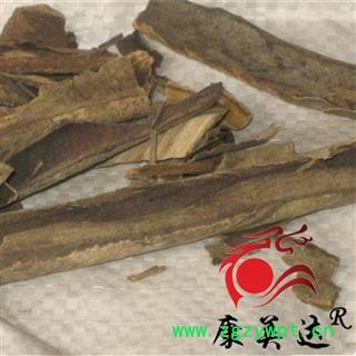 救必应 统货 产地 广西壮族自治区 凯捷中药图2