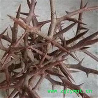 皂角刺 统货 产地 河南省 过药检 【做良心药 道地药材 冷背药材 品种齐全】图2