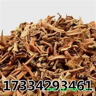 石韦 小叶石韦 石苇 石兰 中草药材初级农产品图4