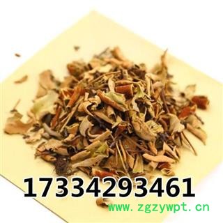 石韦 小叶石韦 石苇 石兰 中草药材初级农产品图2