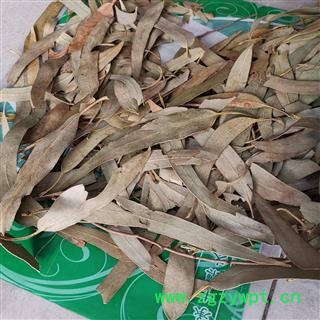 瑞森药材行桉叶 桉树叶 大统货散装今年新货产地直销量大从优图3