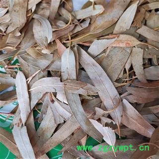 瑞森药材行桉叶 桉树叶 大统货散装今年新货产地直销量大从优图2