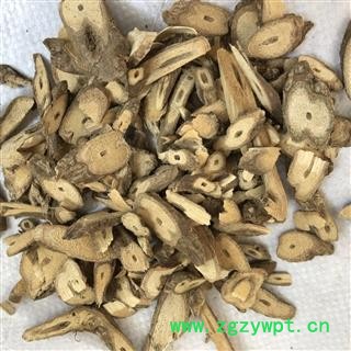 牛耳枫 正品 别称 老虎耳 假楠木 牛耳铃 猪颔木 南岭虎皮楠 岭南虎皮楠 产地 广西壮族自治区 娟子中药行图3