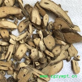 牛耳枫 正品 别称 老虎耳 假楠木 牛耳铃 猪颔木 南岭虎皮楠 岭南虎皮楠 产地 广西壮族自治区 娟子中药行图4