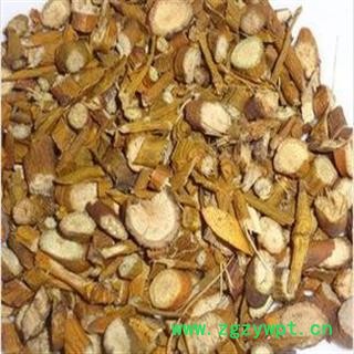 桑寄生 统 产地 内蒙古自治区图2