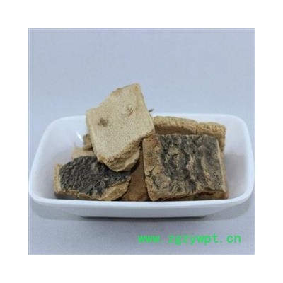 中药材 椿树皮 臭椿皮 椿树干皮 椿身皮