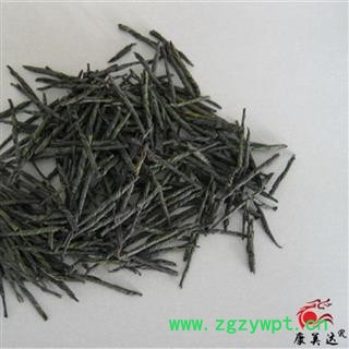 苦丁茶 选货 茶用 产地 广西壮族自治区 凯捷中药图2