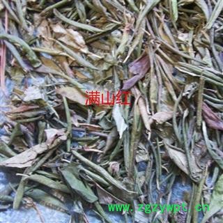 满山红 统货 产地 辽宁省 凯捷中药图2