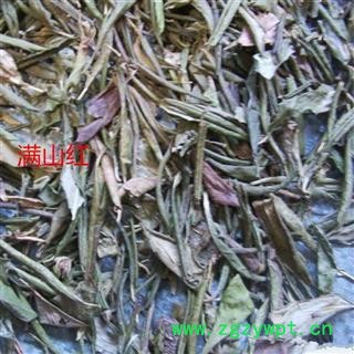 满山红 统货 产地 辽宁省 凯捷中药图3