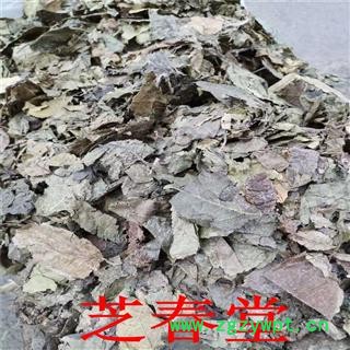 中药材 杜仲叶 现货供应杜仲叶 各冷背奇药材图3