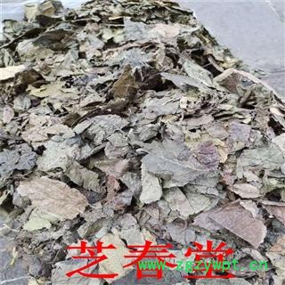 中药材 杜仲叶 现货供应杜仲叶 各冷背奇药材图4