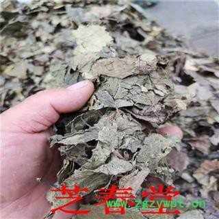 中药材 杜仲叶 现货供应杜仲叶 各冷背奇药材图2