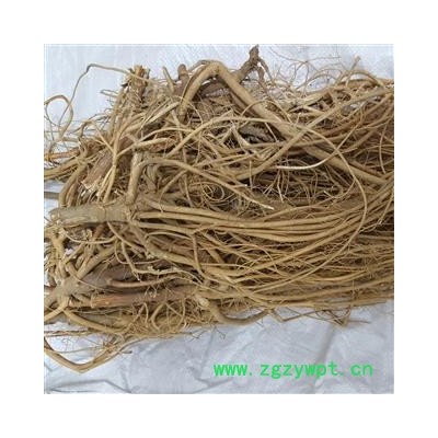 瑞森药材行岩参 石参根 白石参