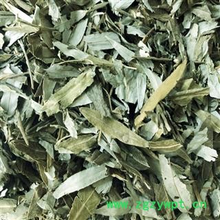 干柳树叶 柳树叶 柳叶 产地 河北省  买好药材找娟子图2