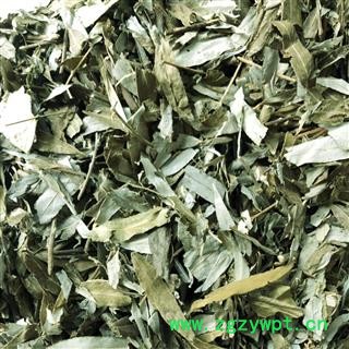 干柳树叶 柳树叶 柳叶 产地 河北省  买好药材找娟子图3