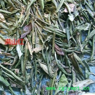 满山红 映山红优质好货 满山红统货 产地 辽宁省 娟子中药图2