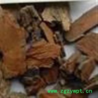 吉康药业中药材榆树皮 榆皮 身皮 榆白皮 根皮图2