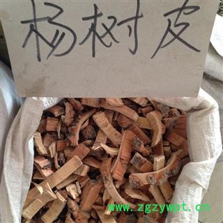 新辉药业正品白杨皮 杨树皮 支持打粉图3