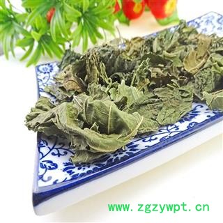 桑叶  霜桑叶 霜后桑叶 桑叶 青桑叶图3