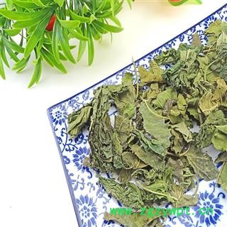 桑叶  霜桑叶 霜后桑叶 桑叶 青桑叶图2