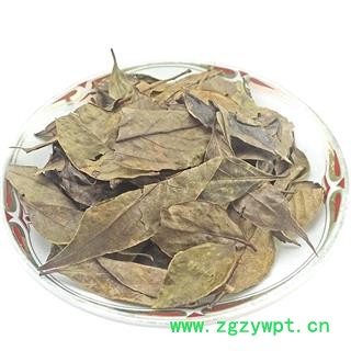 南烛叶   楠烛叶 南竹叶 墨饭叶乌饭树叶图4