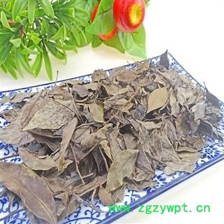 南烛叶   楠烛叶 南竹叶 墨饭叶乌饭树叶图2