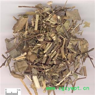 络石藤 统货 产地 浙江省 凯捷中药图2