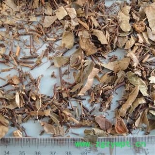 络石藤 统货 产地 浙江省 凯捷中药图3