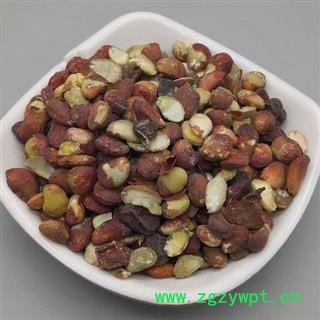 黄皮核  黄皮果核 黄皮籽 黄皮子 中药材图4