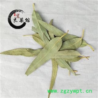 桉树叶选货 蓝桉叶 羊草果叶药典标准 1000克直销图2