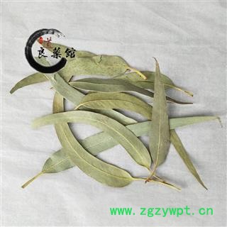 桉树叶选货 蓝桉叶 羊草果叶药典标准 1000克直销图4