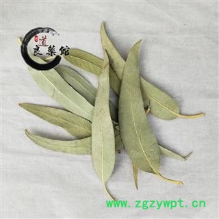 桉树叶选货 蓝桉叶 羊草果叶药典标准 1000克直销图3