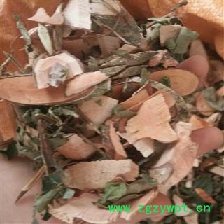 圣草康园漆大姑  毛漆 毛七哥 毛七公 大毛七今年新货图2