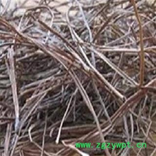 吉康药业中药材 松针 松针 松针绿色图2