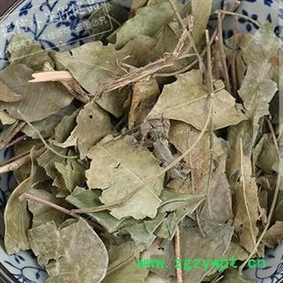 吉康药业九里香  透骨香 满山香 万里香图2