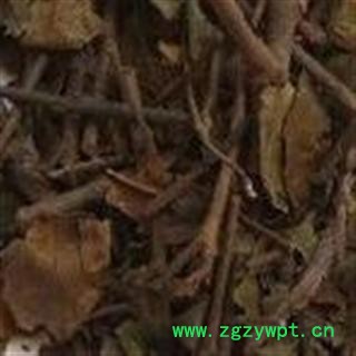 吉康药业中药材黑面神（黑面叶，钟馗草，狗图2