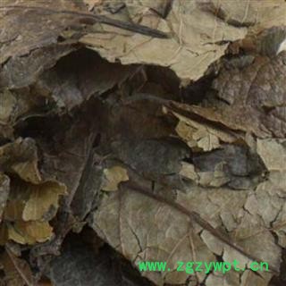 吉康药业杜仲叶新货杜仲叶手工挑选无杂图2