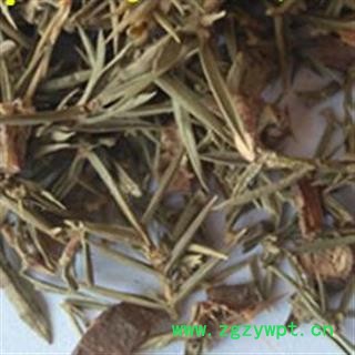 吉康药业柏叶 刺柏叶 刺柏树叶产地 新疆维吾尔自治区图2