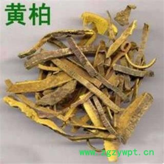 黄柏川黄柏正品保证质量7天无理由退货退款 中药材批发 丽丽药业图2