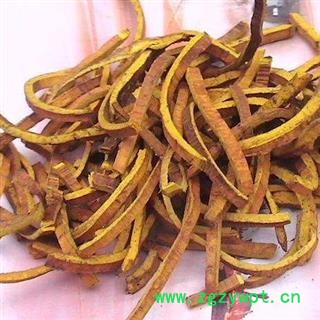 黄柏川黄柏正品保证质量7天无理由退货退款 中药材批发 丽丽药业图3