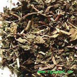 小丽百草行一匹草 一匹叶图2