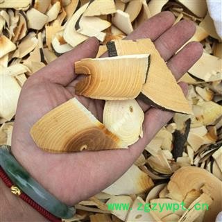 广西壮乡中草药 野生 山苦楝 楝叶吴茱萸 山漆 檫树 贼仔树 鹤木 假茶辣 产地 广西柳州